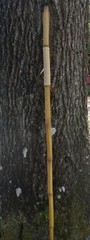 Bamboo Walking Stick Staff Hand Wrap Fire Cured Deer Antler Lanyard