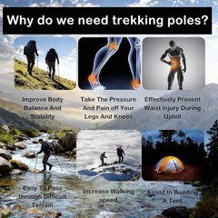 Ergonomic Trekking Pole with Adjustable Wrist Strap – Ideal for Mountaineering