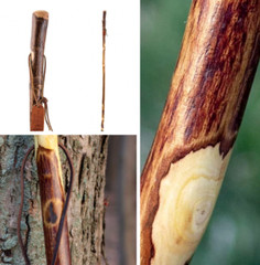 48 In. Hiking Walking Stick Strong Durable Hawthorn Wood Handcrafted in the USA