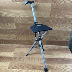 STEP2GOLD Ta-Da Chair Folding Trekking Hiking Pole 13880NH Black 34.6” w/ Case