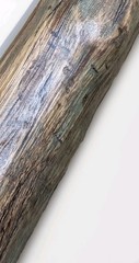Handcrafted 54″ Solid Oak Hiking Staff with Petrified Wood Crown