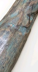 Handcrafted 54″ Solid Oak Hiking Staff with Petrified Wood Crown