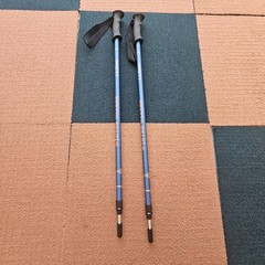 LL Bean Winter Walker Walking Hiking Sticks Set Telescopic Pole 110-145cm Bk1a