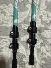 TrailBuddy Trekking Poles – Lightweight, Collapsible Hiking Poles