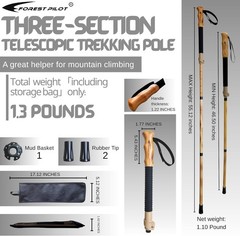 Adjustable Lightweight Trekking Pole – Collapsible Hiking Stick, 1-pc Pack