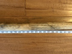 Rain stick, Hiking stick, Walking, Rainmaker, Unique, Vintage 48in, Cane
