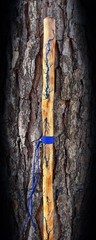 64” Sweetgum FRACTAL LICHTENBERG Walking HIKING Stick Handmade & Finished 🇺🇸