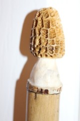 Custom Made Red Oak Walking Hiking Stick with Antler Morel Mushroom Carving