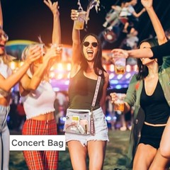 Clear Bag for Stadium Events – Clear Purses for Women Stadium Ardent White