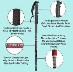 Trailbuddy Trekking Poles – Lightweight, Collapsible Hiking Poles Plum Purple