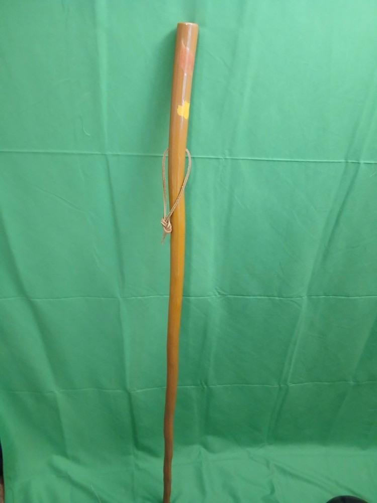 HIKING/WALKING/TREKING STICK MADE FROM NM YUCCA PLANT 51″ tall only 10.4OZ