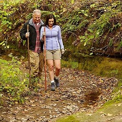 Lightweight Handcrafted Pine Walking Stick Natural Wooden Hiking Staff USA Made