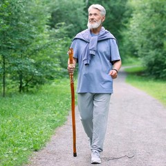 Wood Carved Walking Stick Lightweight **Strong Trekking Pole**