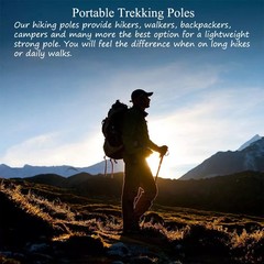 2X Trekking Poles Nordic Walking Hiking Sticks Adjustable Anti-shock Alpenstock