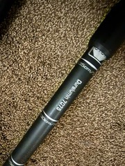 Sierra Mountain Gear Adjustable Hiking Walking Sticks Trekking Poles Pair