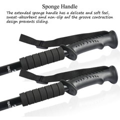 2PC Telescopic Walking Trekking Poles Hiking Sticks Anti-shock Nordic Alpenstock