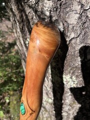 walking /hiking staff