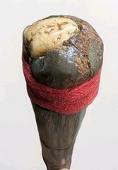 Handcrafted 54″ Solid Oak Hiking Staff with Petrified Wood Crown