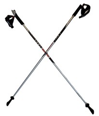 LEKI Nordic Walking Pacer Ultra Lightweight HM Carbon 120cm Silver