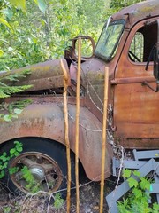 Seasoned Elderberry walking sticks for hiking Stronger then hardwood