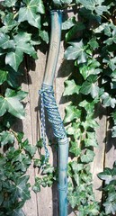57″ – Bamboo – Walking Hiking Trekking Stick/Staff – Paracord Grip & Strap – #31