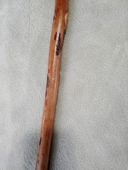 Vintage Hickory Walking Stick 54″ Rubber Tip National Geographic NEW 2000
