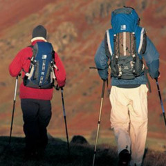 Cane Walking Stick Adjustable Folding Walking Aluminum Collapsible Travel Hiking