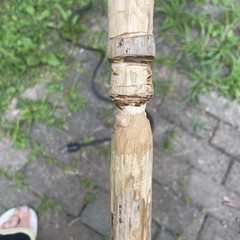 Hand-Carved Wooden Walking Stick Cane w/ Animal Head Handle, Brown, Unisex