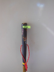 HIKING/WALKING STICK MADE FROM NEW MEXICO YUCCA PLANT FLOWER STALK NUMBER 34