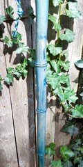 57″ – Bamboo – Walking Hiking Trekking Stick/Staff – Paracord Grip & Strap – #31