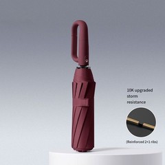 Automatic Open Close Umbrella with 10 Strong Ribs and a Hands Hook Handle