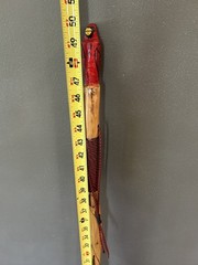 Hiking Stick with carved cardinal carved top- 50”-, paracord grip/wrist strap