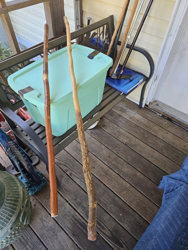 Hiking Sticks