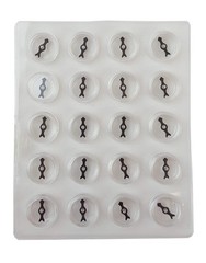 Compass Board, Pack of 10