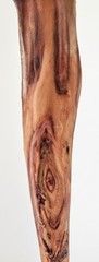 55″ – Hand Carved Diamond Willow – Finished with apoxy – Hiking / Walking Stick