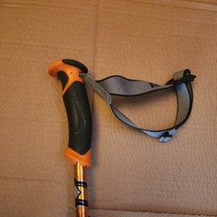 Black Diamond Traverse Trekking Poles