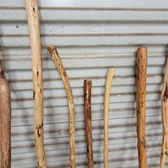 MANY NEW WALKING STICKS HIKING CAMPING STICKS CEDAR PINE EACH ONE CUSTOM MADE