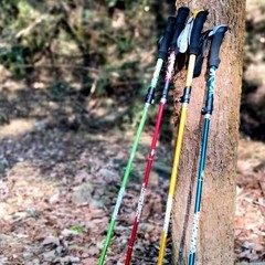 5 Section Foldable Trekking Pole Telescopic Hiking Walking Stick 1PC