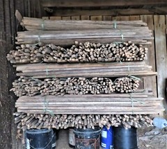 Bundle Of 5 Blank Tobacco Blank Sticks 42″-52″ (Ebay)