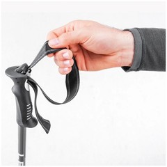 LEKI Voyager Walking Poles (65320171)