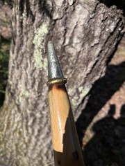 walking /hiking staff