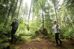 Lightweight Aircraft-Grade Aluminum Trekking Poles with Extended down Grip plus