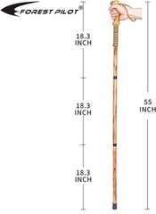 3-pc Detachable Hardwood Walking Stick Pine Handle with Compass Nature Color,…