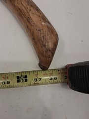 Natural Twisted Wood Hiking Stick – Handmade-Painted Design Initialed Look Read