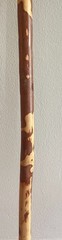 37 inch Whistle Creek Wooden Hiking Stick ~ Wood Walking Cane