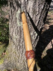 walking /hiking staff
