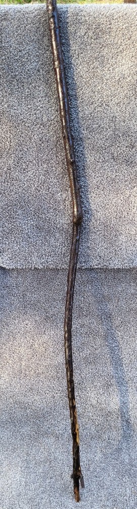 Wooden Hiking Stick Handmade