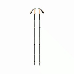 Black Diamond Trail Cork Trekking Poles, Fig