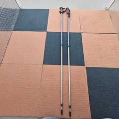 LL Bean Winter Walker Walking Hiking Sticks Set Telescopic Pole 110-145cm Bk1a