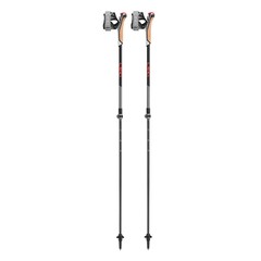 LEKI Instructor Lite Black/Gray/Yellow Nordic Walking Poles (65326341)